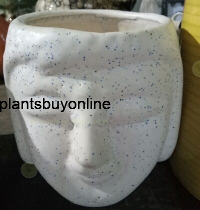 Ceramic Pots Buy Online