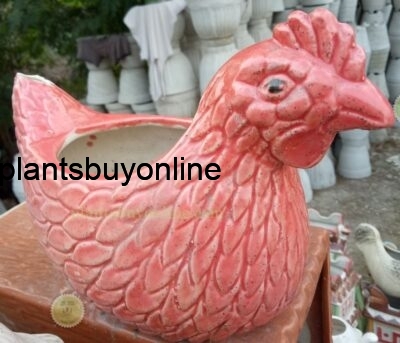 Buy Pots online