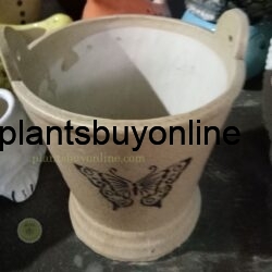 Ceramic Pots Plants