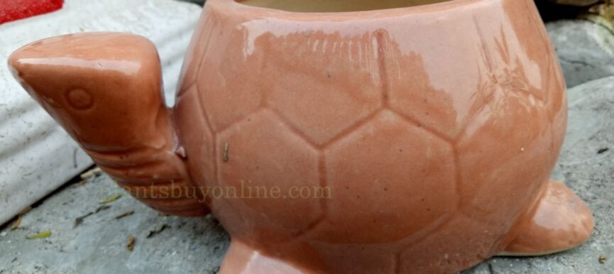 Ceramic pot 4X4