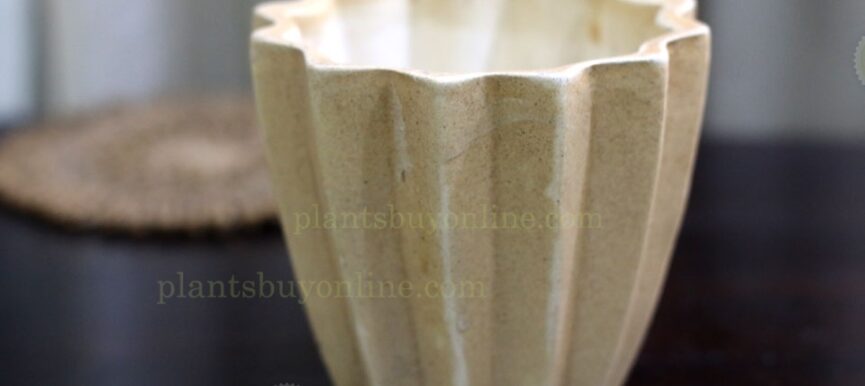 Ceramic Pot 4x4 Cream